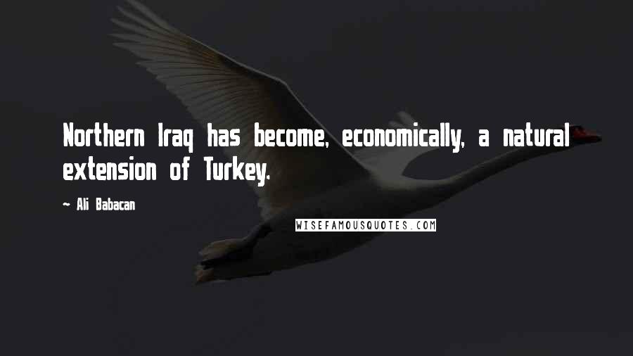 Ali Babacan Quotes: Northern Iraq has become, economically, a natural extension of Turkey.