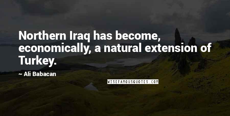 Ali Babacan Quotes: Northern Iraq has become, economically, a natural extension of Turkey.