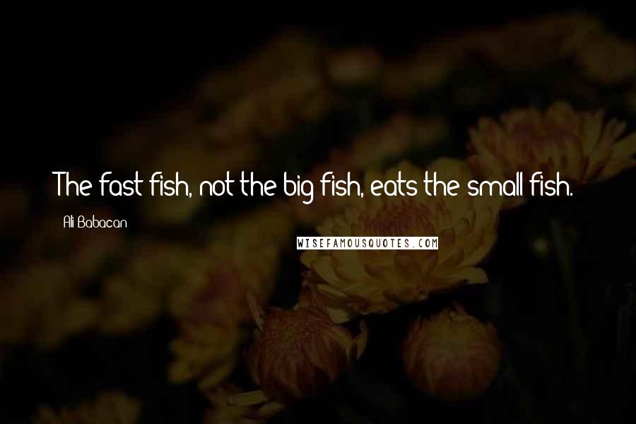 Ali Babacan Quotes: The fast fish, not the big fish, eats the small fish.