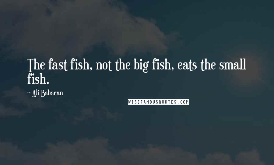 Ali Babacan Quotes: The fast fish, not the big fish, eats the small fish.