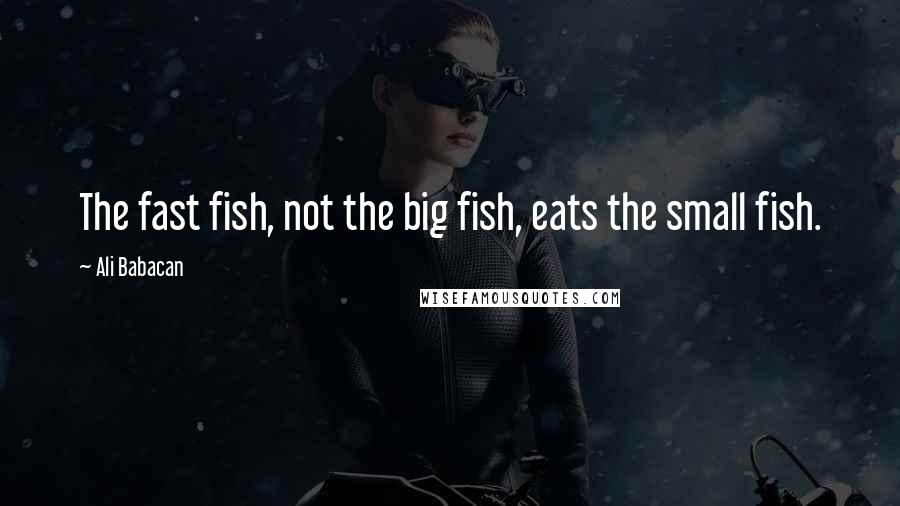 Ali Babacan Quotes: The fast fish, not the big fish, eats the small fish.