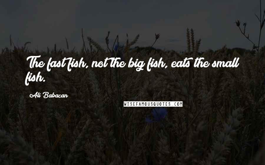 Ali Babacan Quotes: The fast fish, not the big fish, eats the small fish.