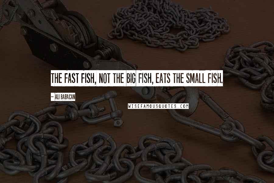 Ali Babacan Quotes: The fast fish, not the big fish, eats the small fish.