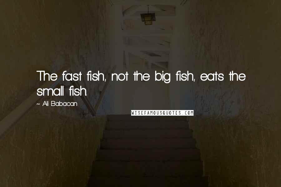 Ali Babacan Quotes: The fast fish, not the big fish, eats the small fish.