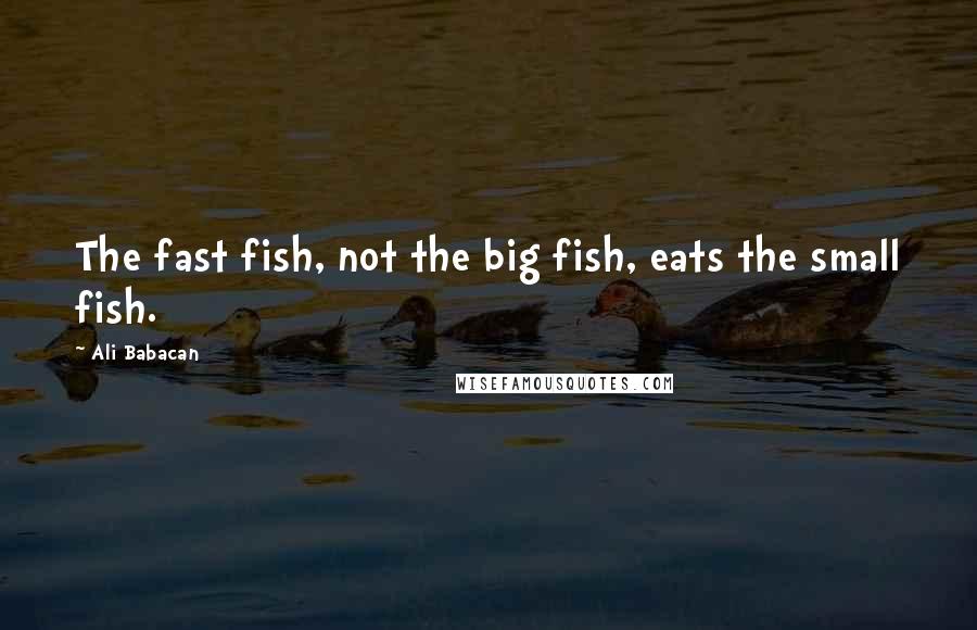 Ali Babacan Quotes: The fast fish, not the big fish, eats the small fish.