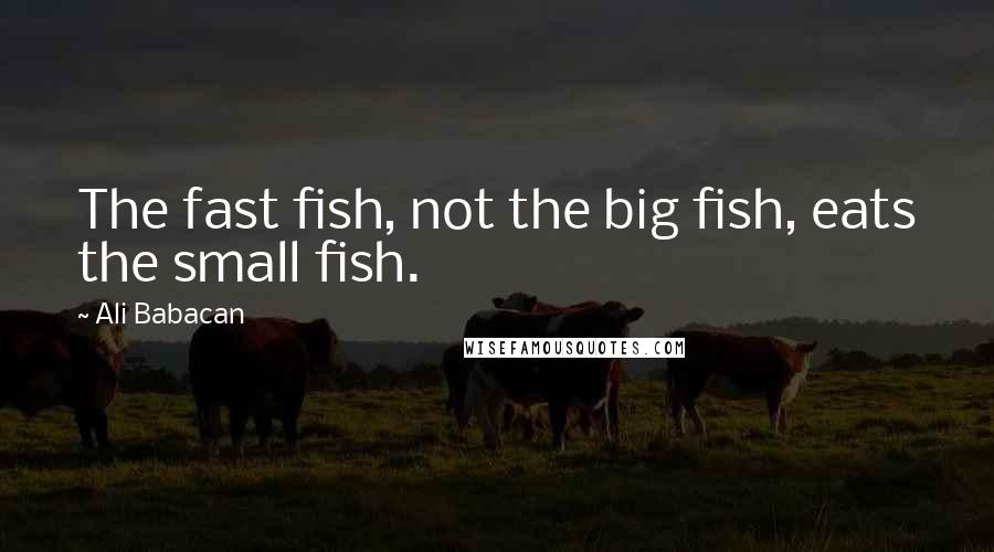 Ali Babacan Quotes: The fast fish, not the big fish, eats the small fish.