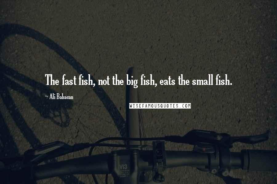 Ali Babacan Quotes: The fast fish, not the big fish, eats the small fish.