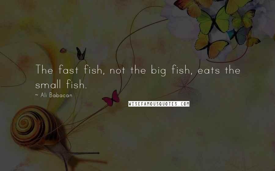 Ali Babacan Quotes: The fast fish, not the big fish, eats the small fish.