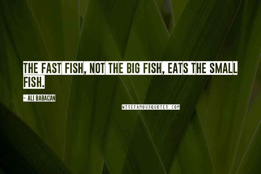 Ali Babacan Quotes: The fast fish, not the big fish, eats the small fish.