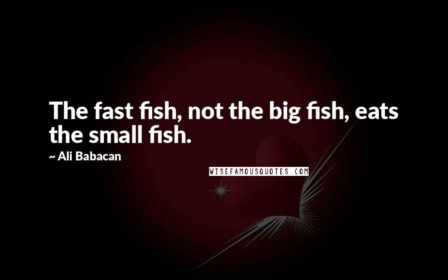 Ali Babacan Quotes: The fast fish, not the big fish, eats the small fish.