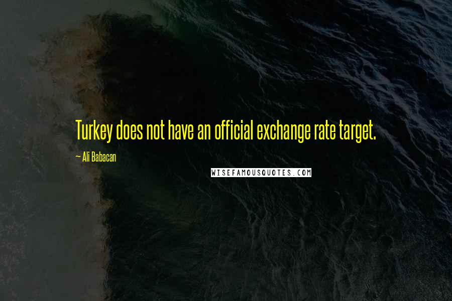 Ali Babacan Quotes: Turkey does not have an official exchange rate target.