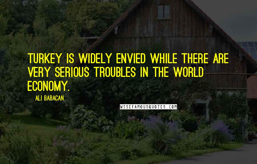 Ali Babacan Quotes: Turkey is widely envied while there are very serious troubles in the world economy.