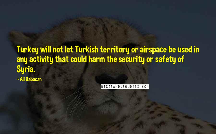 Ali Babacan Quotes: Turkey will not let Turkish territory or airspace be used in any activity that could harm the security or safety of Syria.