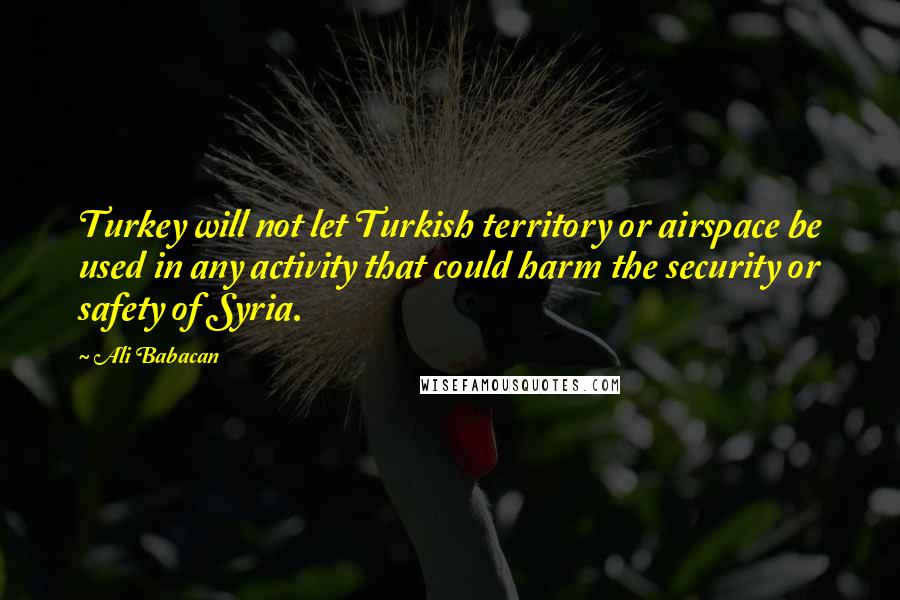 Ali Babacan Quotes: Turkey will not let Turkish territory or airspace be used in any activity that could harm the security or safety of Syria.