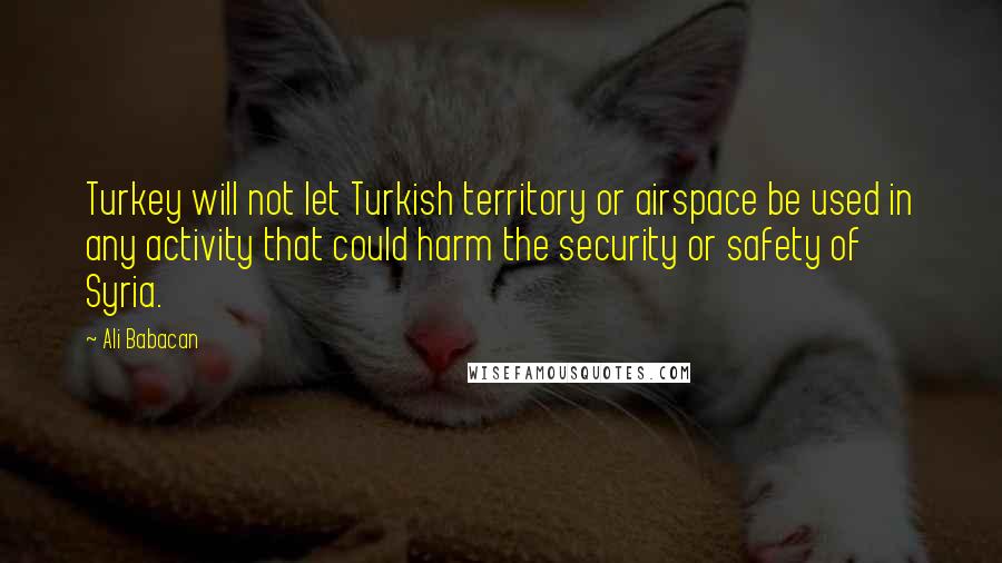 Ali Babacan Quotes: Turkey will not let Turkish territory or airspace be used in any activity that could harm the security or safety of Syria.