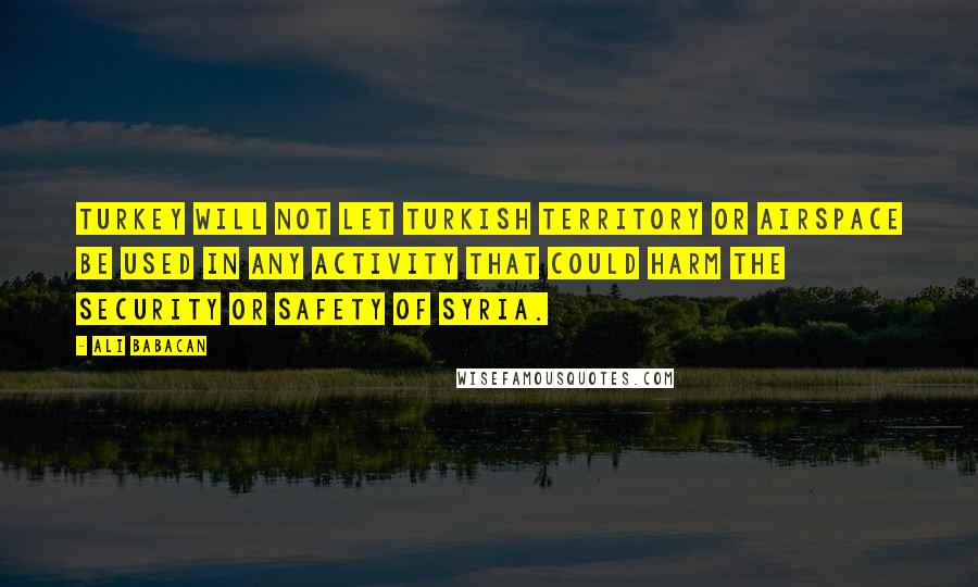 Ali Babacan Quotes: Turkey will not let Turkish territory or airspace be used in any activity that could harm the security or safety of Syria.
