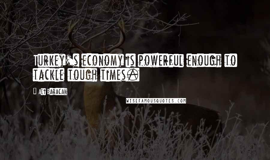 Ali Babacan Quotes: Turkey's economy is powerful enough to tackle tough times.