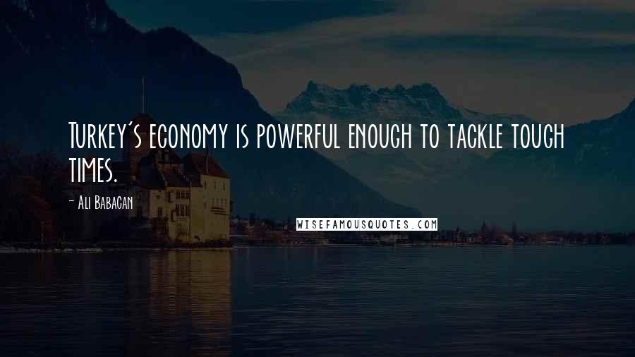 Ali Babacan Quotes: Turkey's economy is powerful enough to tackle tough times.