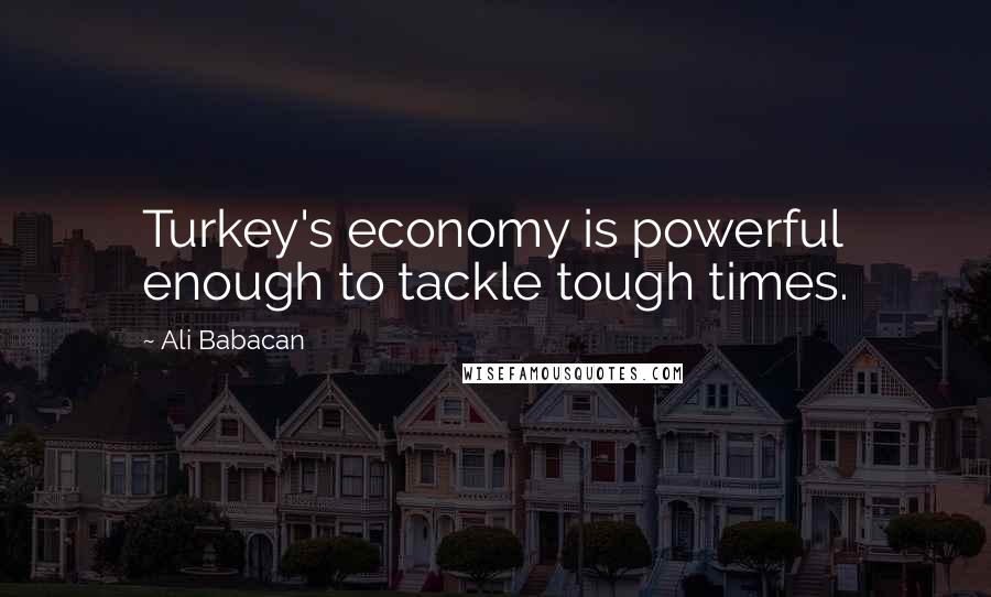 Ali Babacan Quotes: Turkey's economy is powerful enough to tackle tough times.