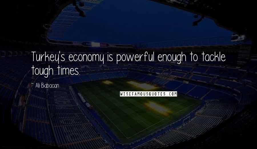 Ali Babacan Quotes: Turkey's economy is powerful enough to tackle tough times.