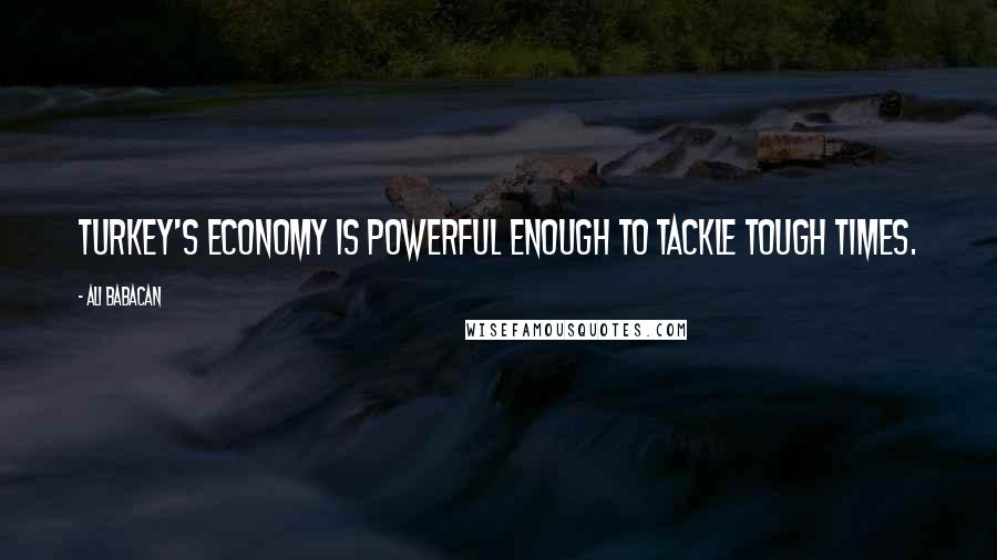Ali Babacan Quotes: Turkey's economy is powerful enough to tackle tough times.
