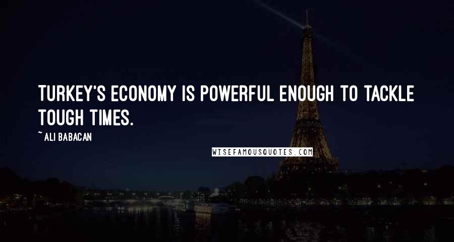 Ali Babacan Quotes: Turkey's economy is powerful enough to tackle tough times.
