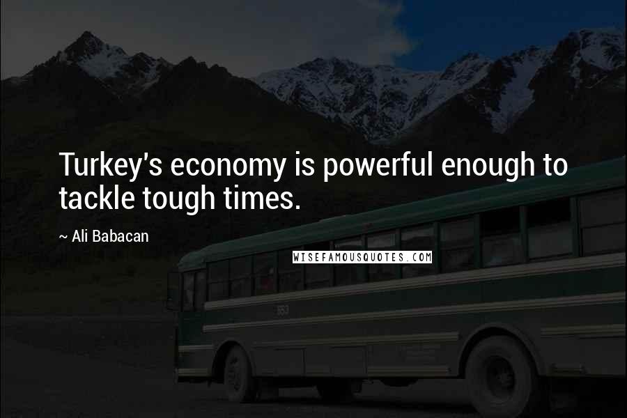 Ali Babacan Quotes: Turkey's economy is powerful enough to tackle tough times.