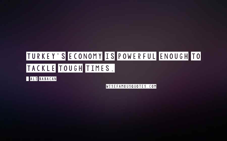 Ali Babacan Quotes: Turkey's economy is powerful enough to tackle tough times.