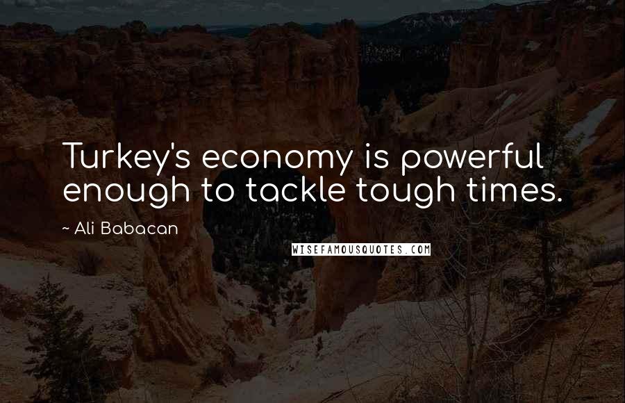 Ali Babacan Quotes: Turkey's economy is powerful enough to tackle tough times.