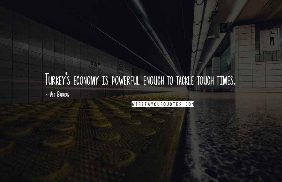 Ali Babacan Quotes: Turkey's economy is powerful enough to tackle tough times.