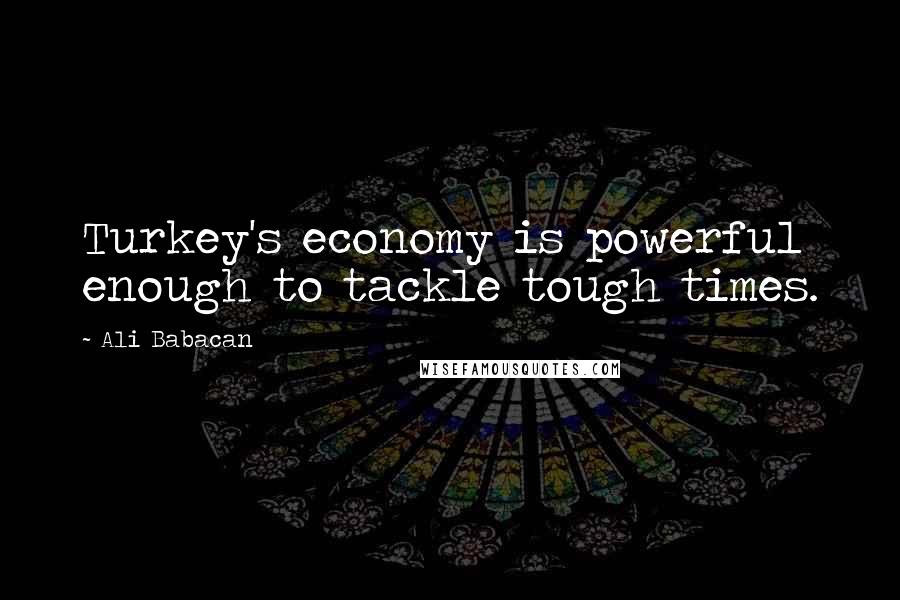 Ali Babacan Quotes: Turkey's economy is powerful enough to tackle tough times.