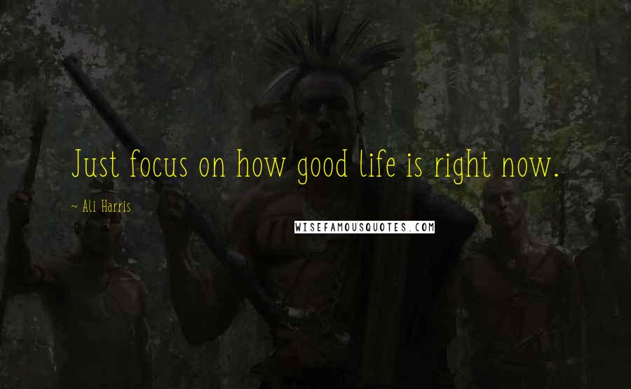 Ali Harris Quotes: Just focus on how good life is right now.