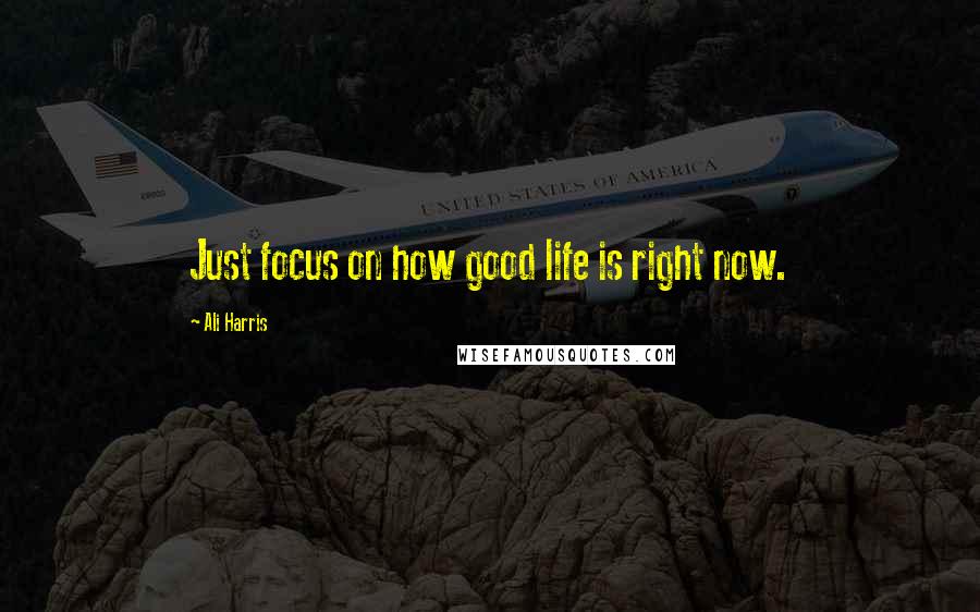 Ali Harris Quotes: Just focus on how good life is right now.