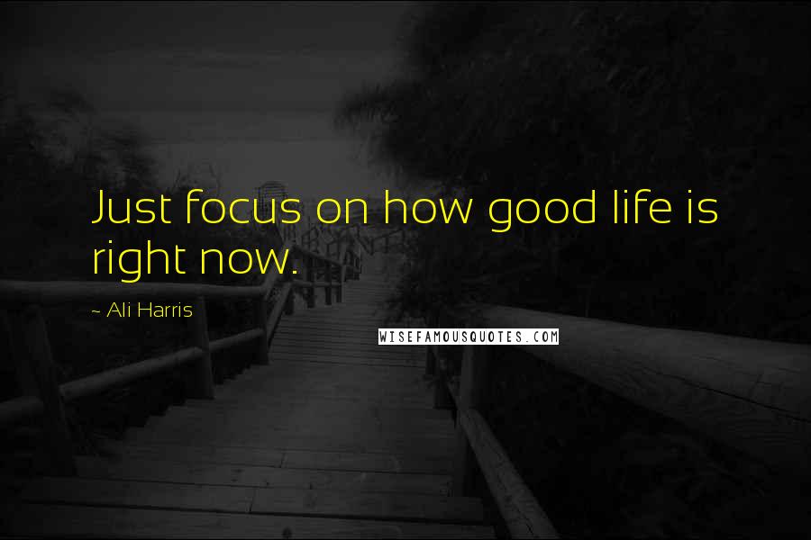 Ali Harris Quotes: Just focus on how good life is right now.