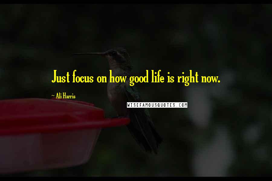 Ali Harris Quotes: Just focus on how good life is right now.