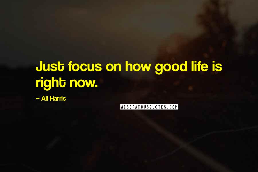 Ali Harris Quotes: Just focus on how good life is right now.