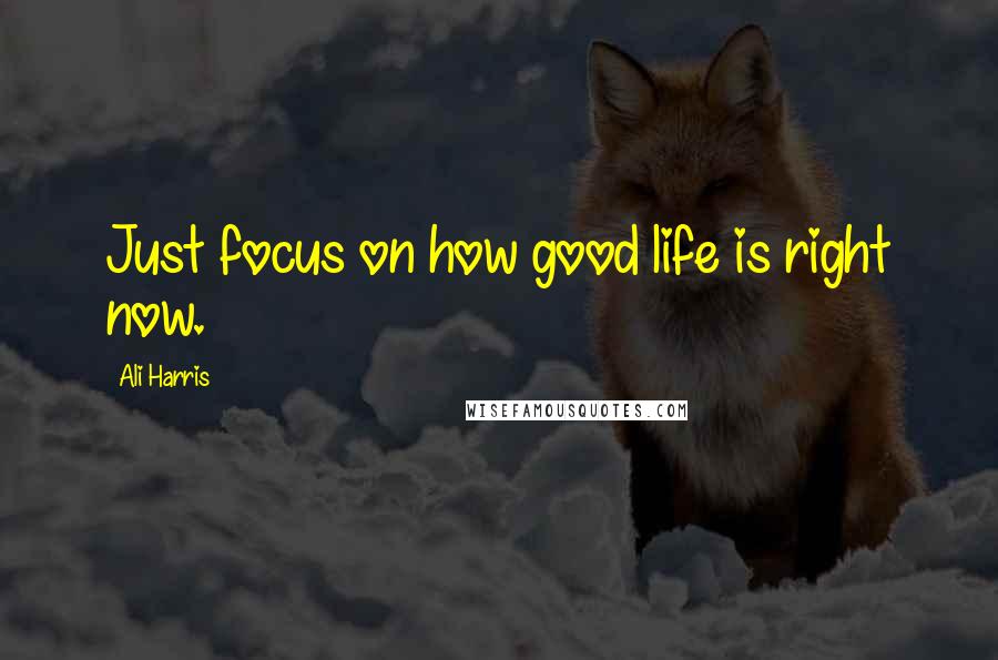 Ali Harris Quotes: Just focus on how good life is right now.