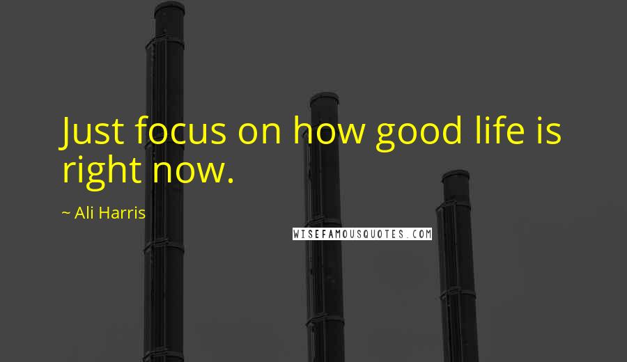 Ali Harris Quotes: Just focus on how good life is right now.