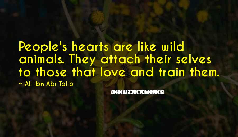 Ali Ibn Abi Talib Quotes: People's hearts are like wild animals. They attach their selves to those that love and train them.