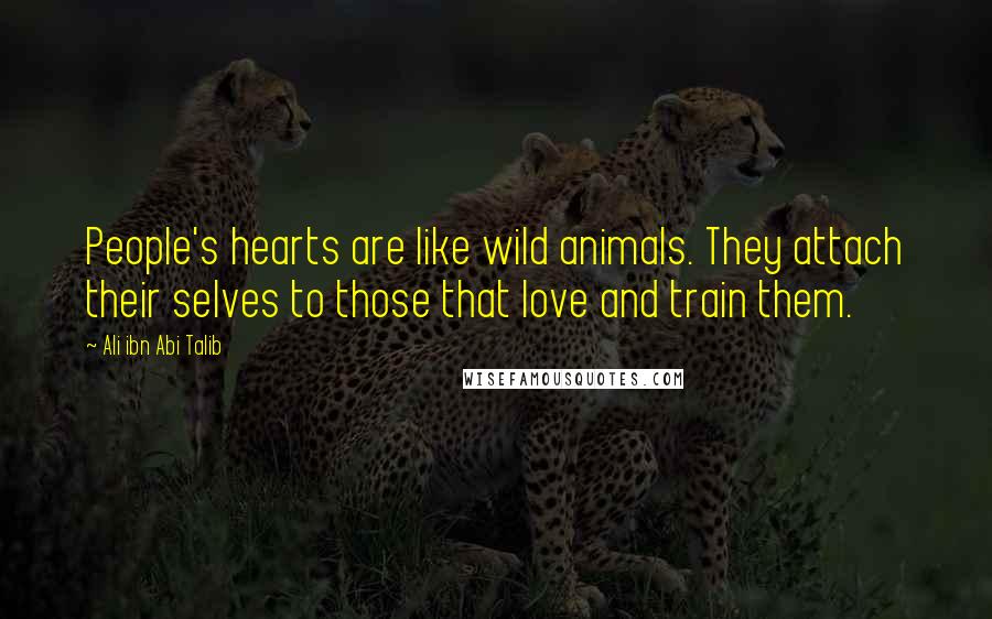 Ali Ibn Abi Talib Quotes: People's hearts are like wild animals. They attach their selves to those that love and train them.