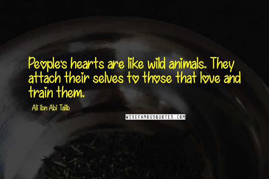 Ali Ibn Abi Talib Quotes: People's hearts are like wild animals. They attach their selves to those that love and train them.