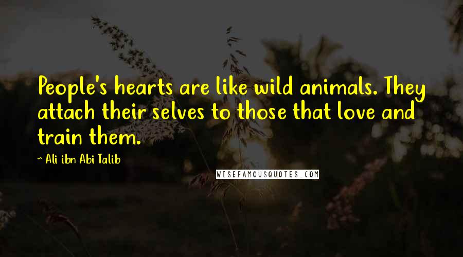 Ali Ibn Abi Talib Quotes: People's hearts are like wild animals. They attach their selves to those that love and train them.