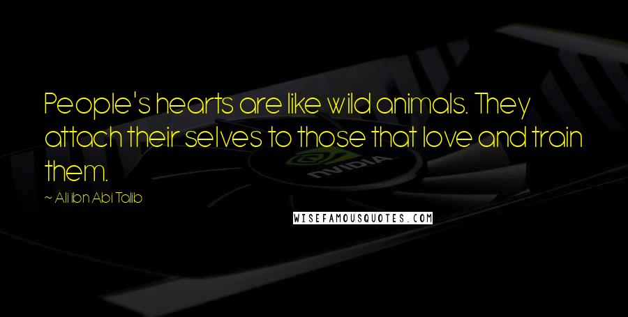 Ali Ibn Abi Talib Quotes: People's hearts are like wild animals. They attach their selves to those that love and train them.