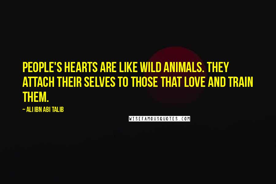 Ali Ibn Abi Talib Quotes: People's hearts are like wild animals. They attach their selves to those that love and train them.