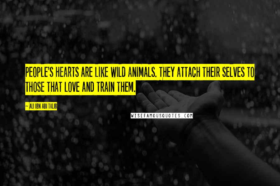 Ali Ibn Abi Talib Quotes: People's hearts are like wild animals. They attach their selves to those that love and train them.