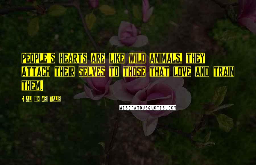 Ali Ibn Abi Talib Quotes: People's hearts are like wild animals. They attach their selves to those that love and train them.