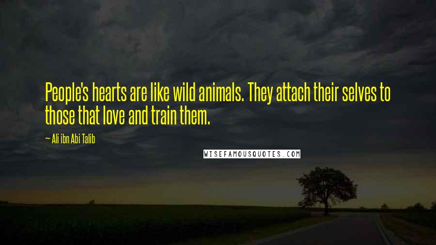 Ali Ibn Abi Talib Quotes: People's hearts are like wild animals. They attach their selves to those that love and train them.