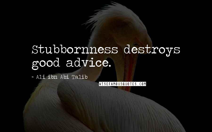 Ali Ibn Abi Talib Quotes: Stubbornness destroys good advice.