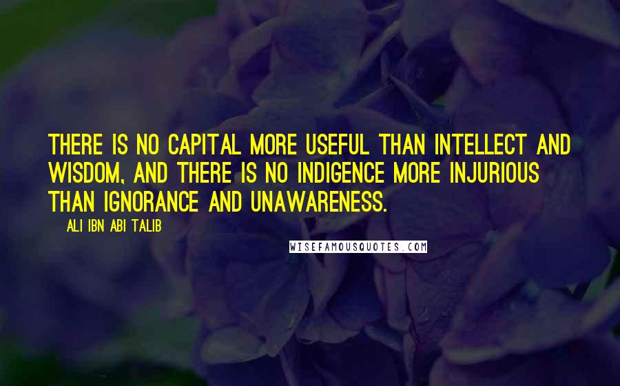 Ali Ibn Abi Talib Quotes: There is no capital more useful than intellect and wisdom, and there is no indigence more injurious than ignorance and unawareness.