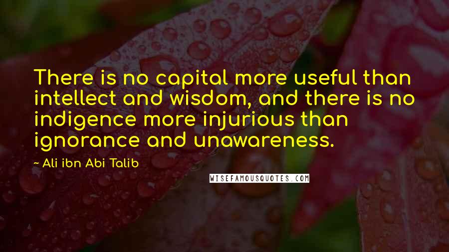 Ali Ibn Abi Talib Quotes: There is no capital more useful than intellect and wisdom, and there is no indigence more injurious than ignorance and unawareness.